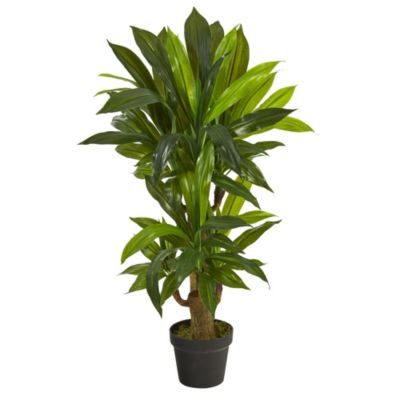 Nearly Natural 3-Foot Corn Stalk Dracaena Artificial Plant (Real Touch)