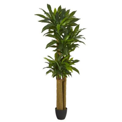 Nearly Natural 6-Foot Corn Stalk Dracaena Artificial Plant (Real Touch)