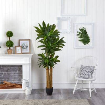 Foot Corn Stalk Dracaena Artificial Plant (Real Touch