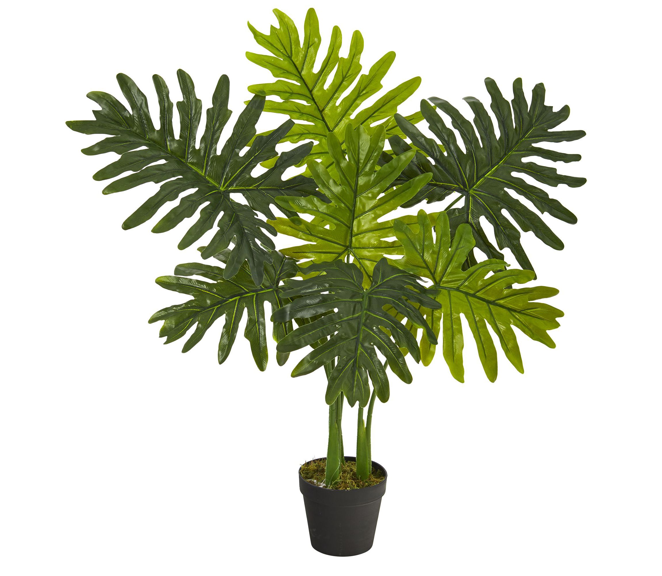 3-Foot Philodendron Artificial Plant (Real Touch)