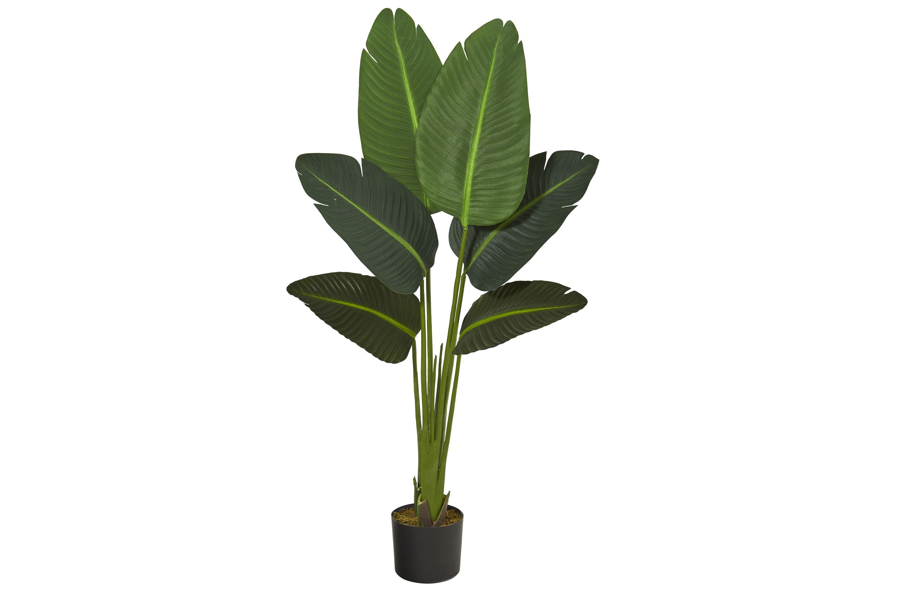 45-Inch Travelers Palm Artificial Plant (Real Touch)