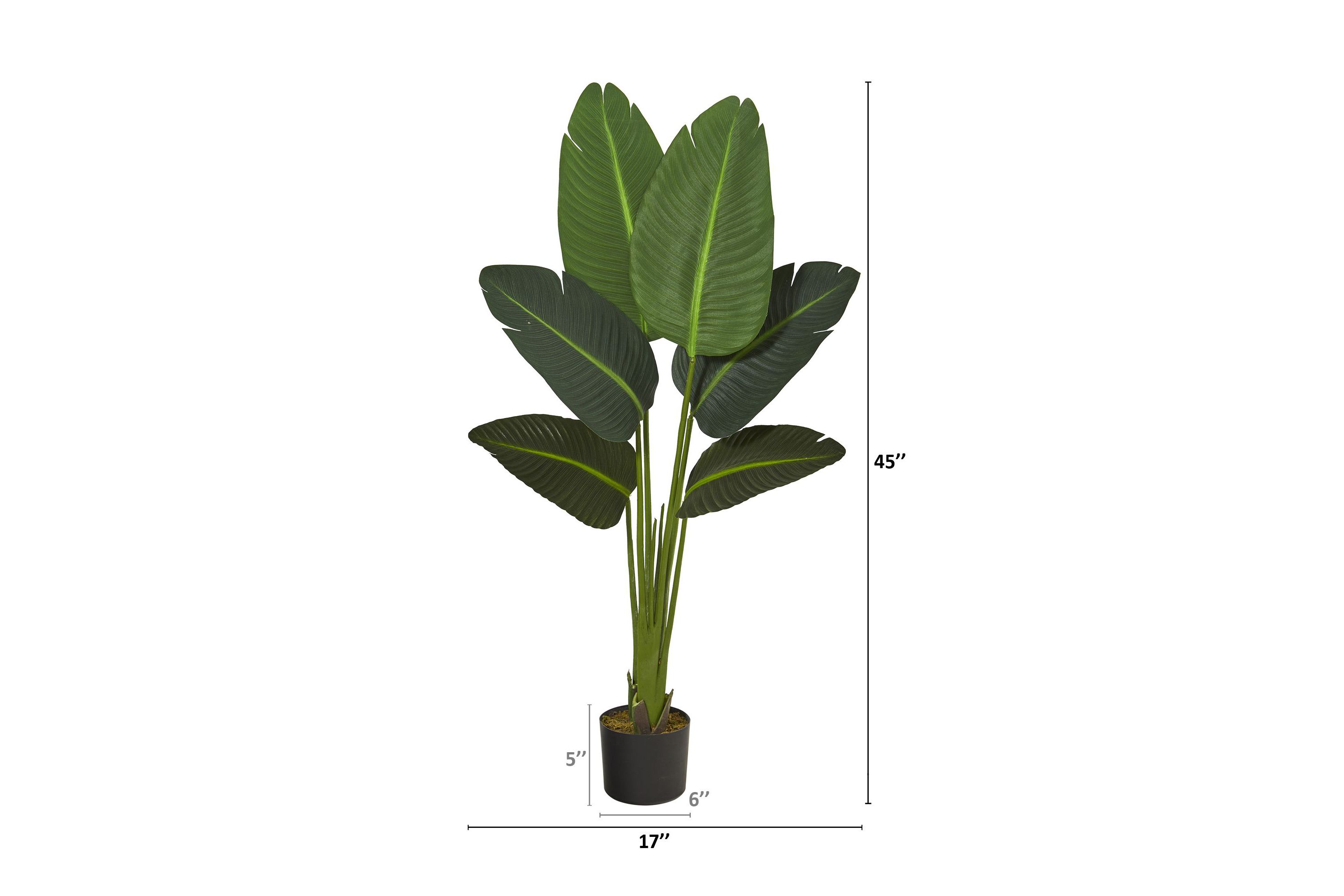 45-Inch Travelers Palm Artificial Plant (Real Touch)