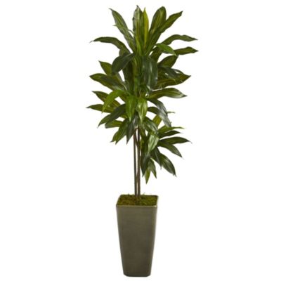 4.5-Foot Dracaena Artificial Plant in Green Planter (Real Touch)