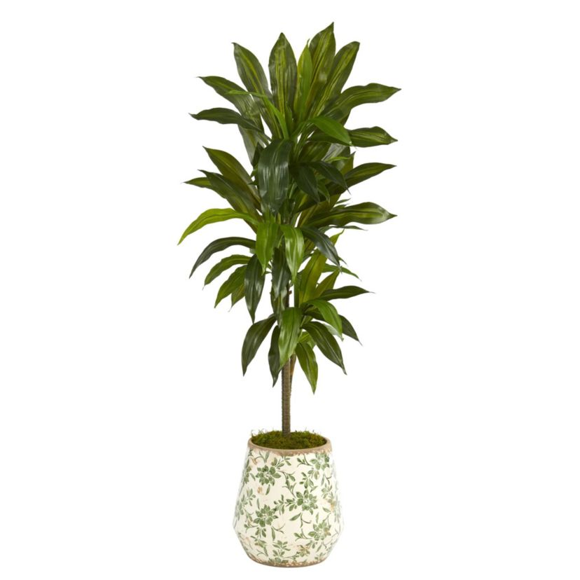 4-Foot Dracaena Artificial Plant in Flower Print Planter (Real Touch)