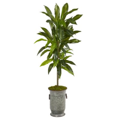 4-Foot Dracaena Artificial Plant in Vintage Metal Planter (Real Touch)
