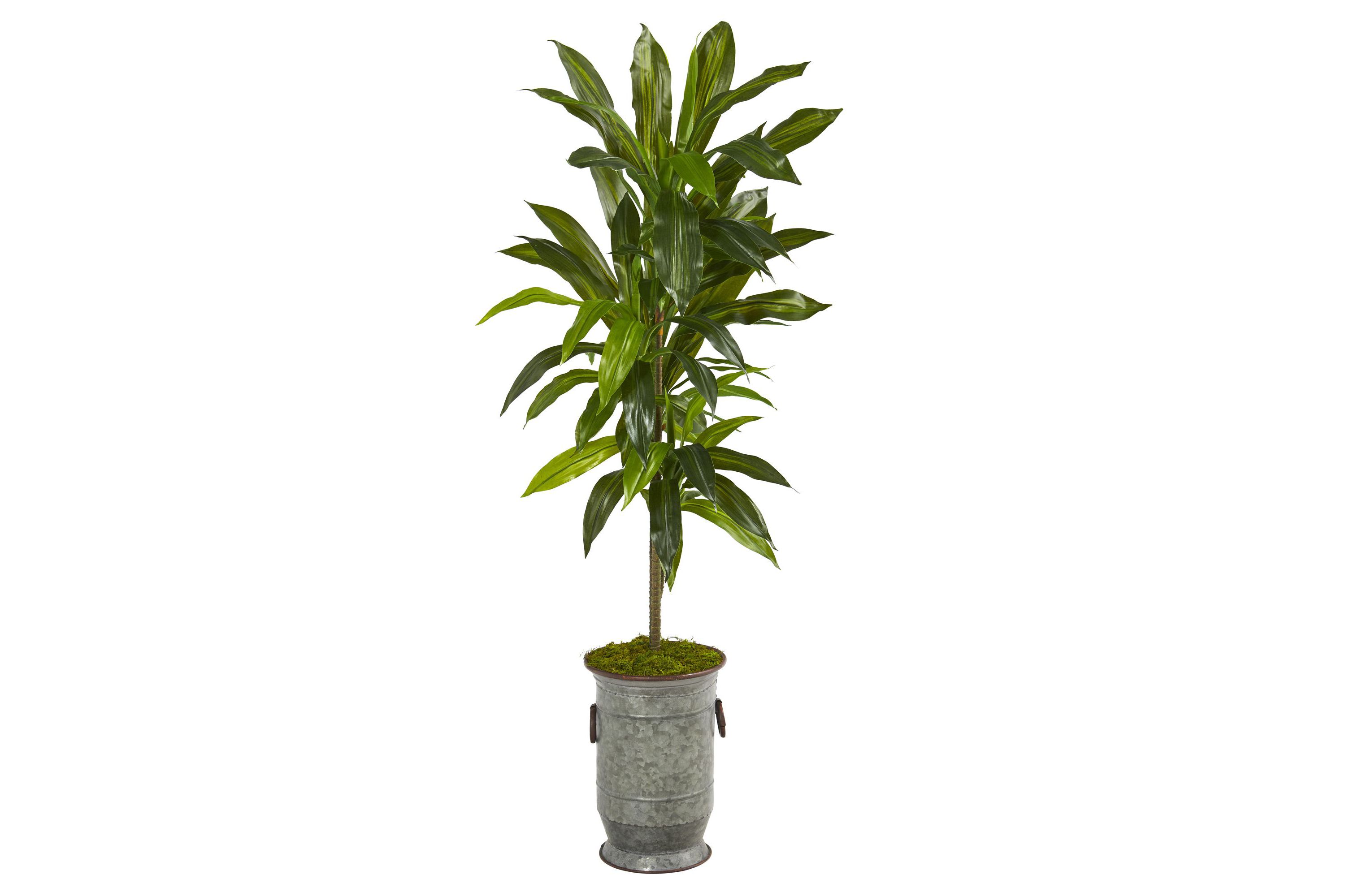 4-Foot Dracaena Artificial Plant in Vintage Metal Planter (Real Touch)
