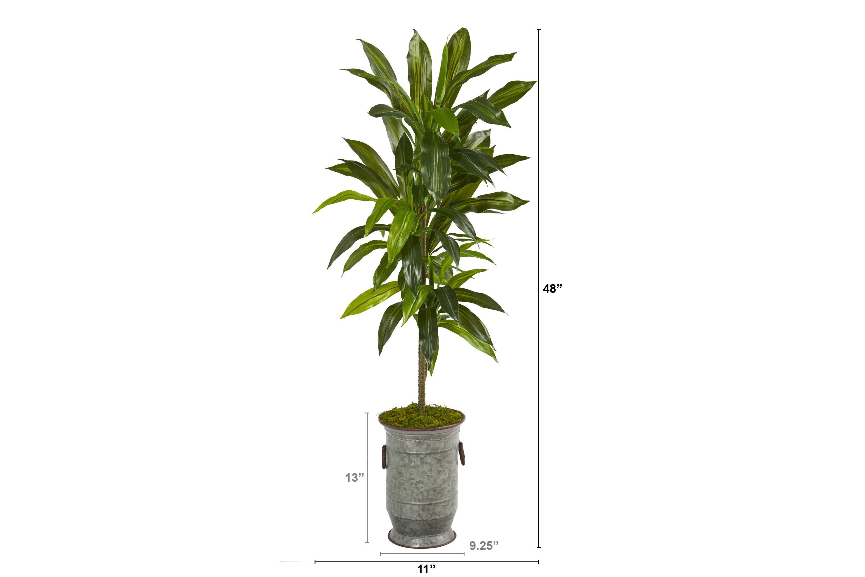 4-Foot Dracaena Artificial Plant in Vintage Metal Planter (Real Touch)