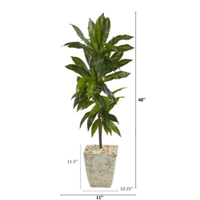 4-Foot Dracaena Artificial Plant in Country White Planter (Real Touch)