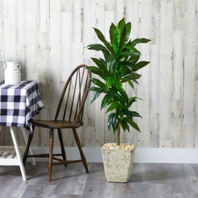 4-Foot Dracaena Artificial Plant in Country White Planter (Real Touch)