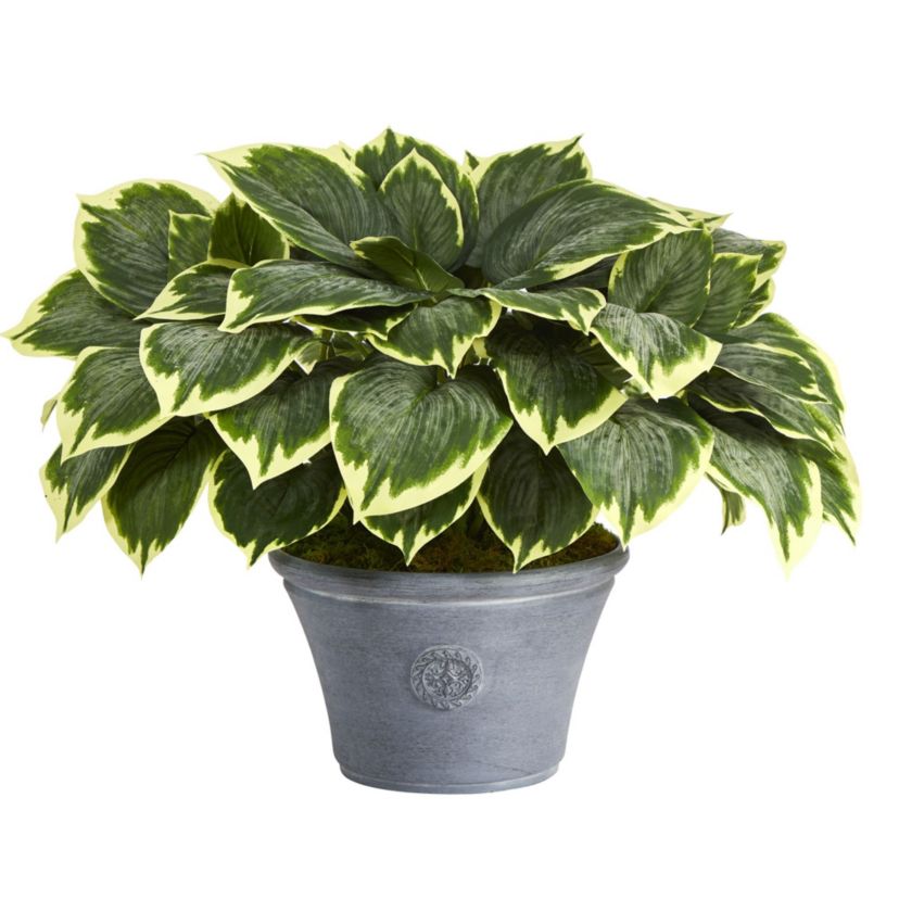 23-Inch Variegated Hosta Artificial Plant in Gray Planter