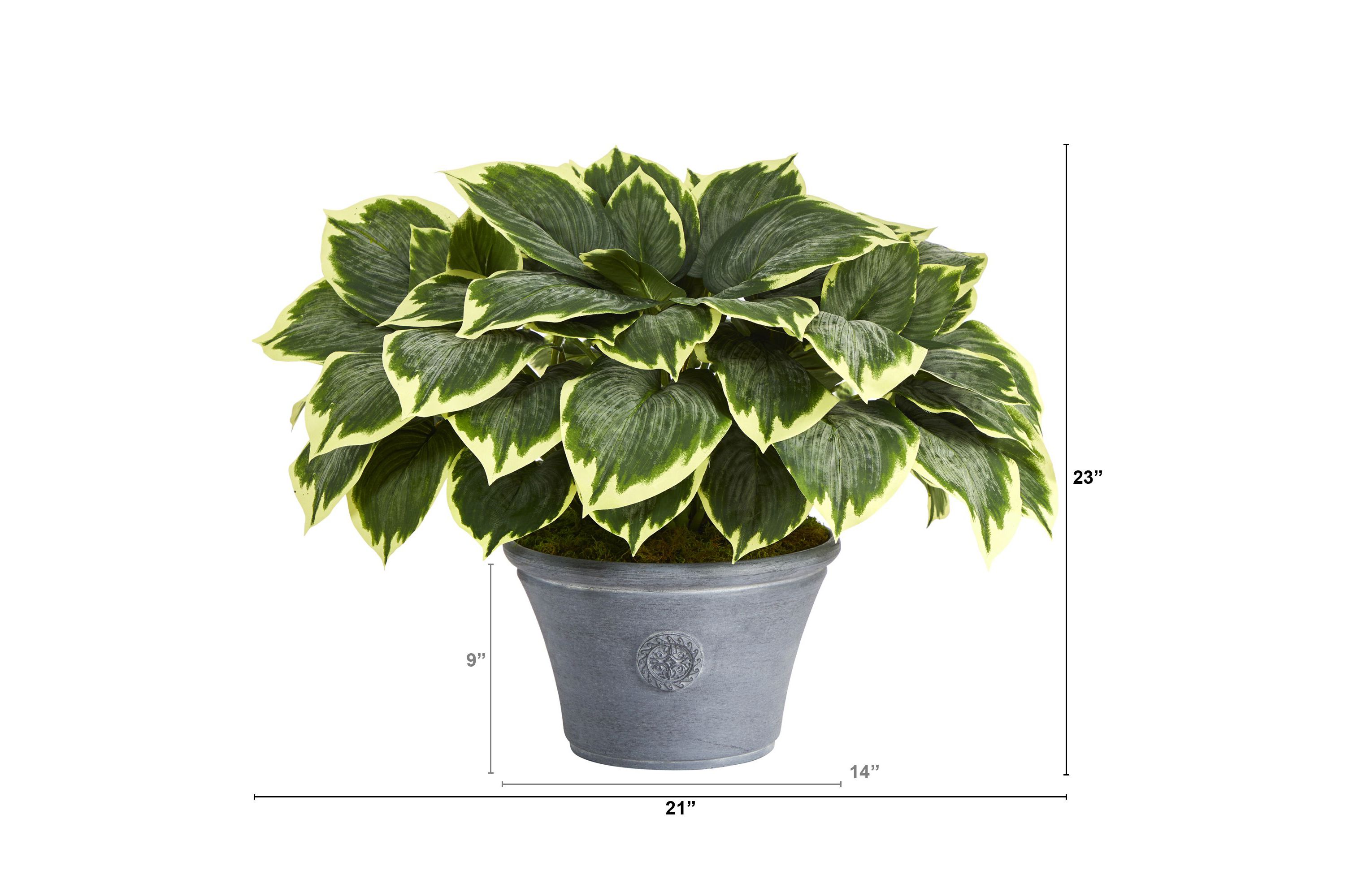 23-Inch Variegated Hosta Artificial Plant in Gray Planter