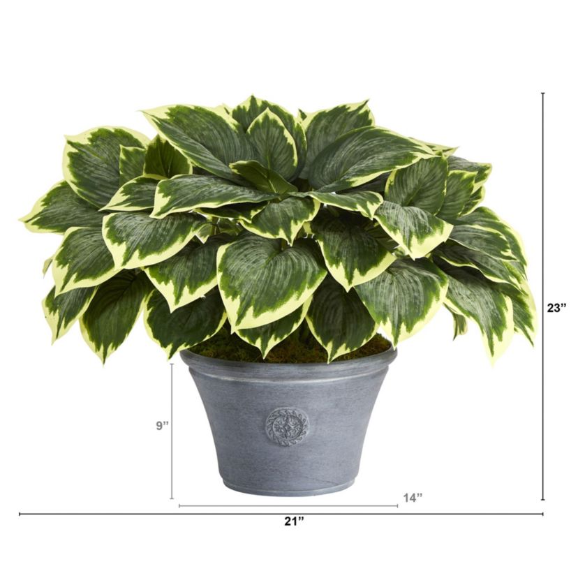 23-Inch Variegated Hosta Artificial Plant in Gray Planter