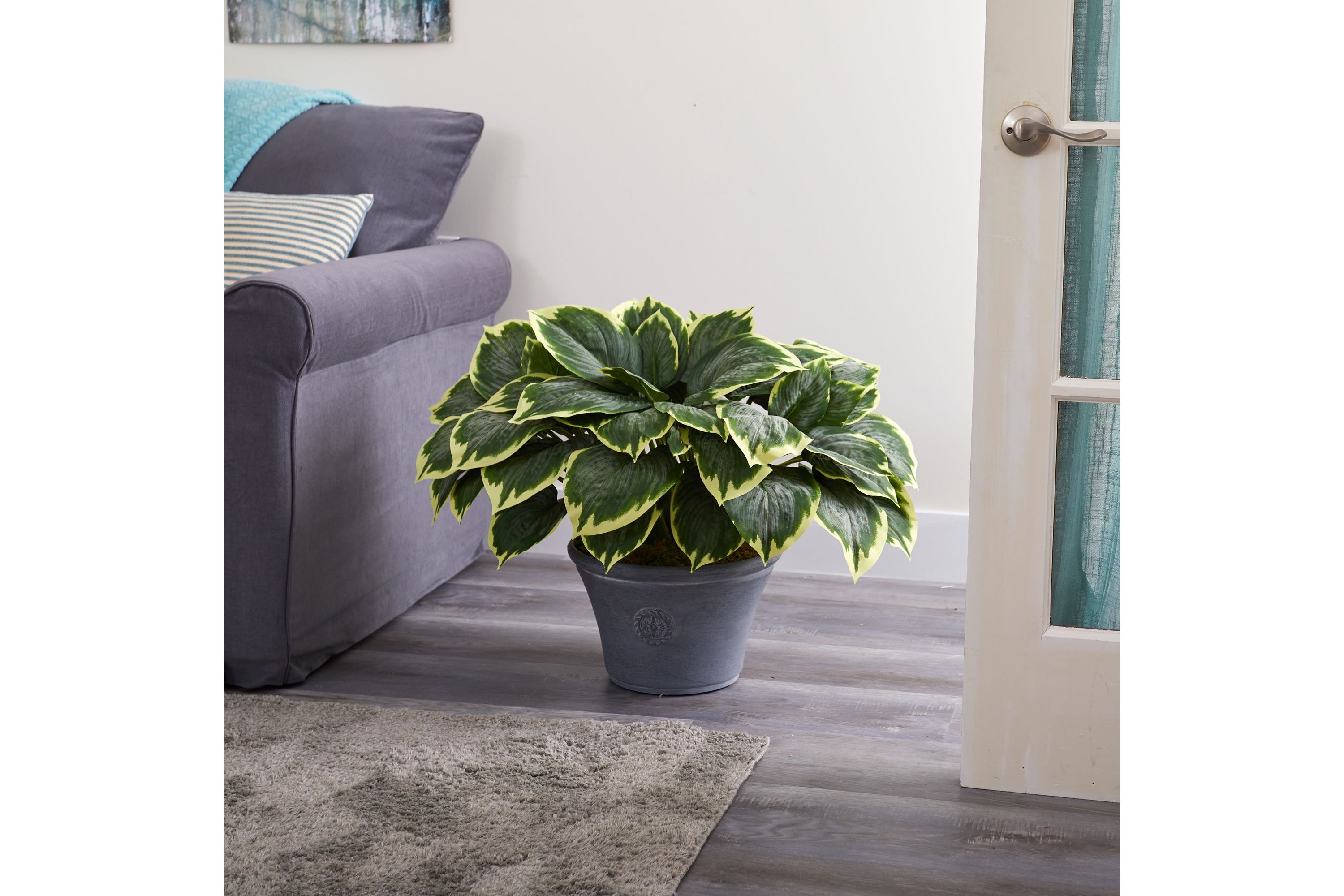 23-Inch Variegated Hosta Artificial Plant in Gray Planter