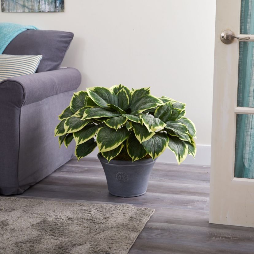 23-Inch Variegated Hosta Artificial Plant in Gray Planter