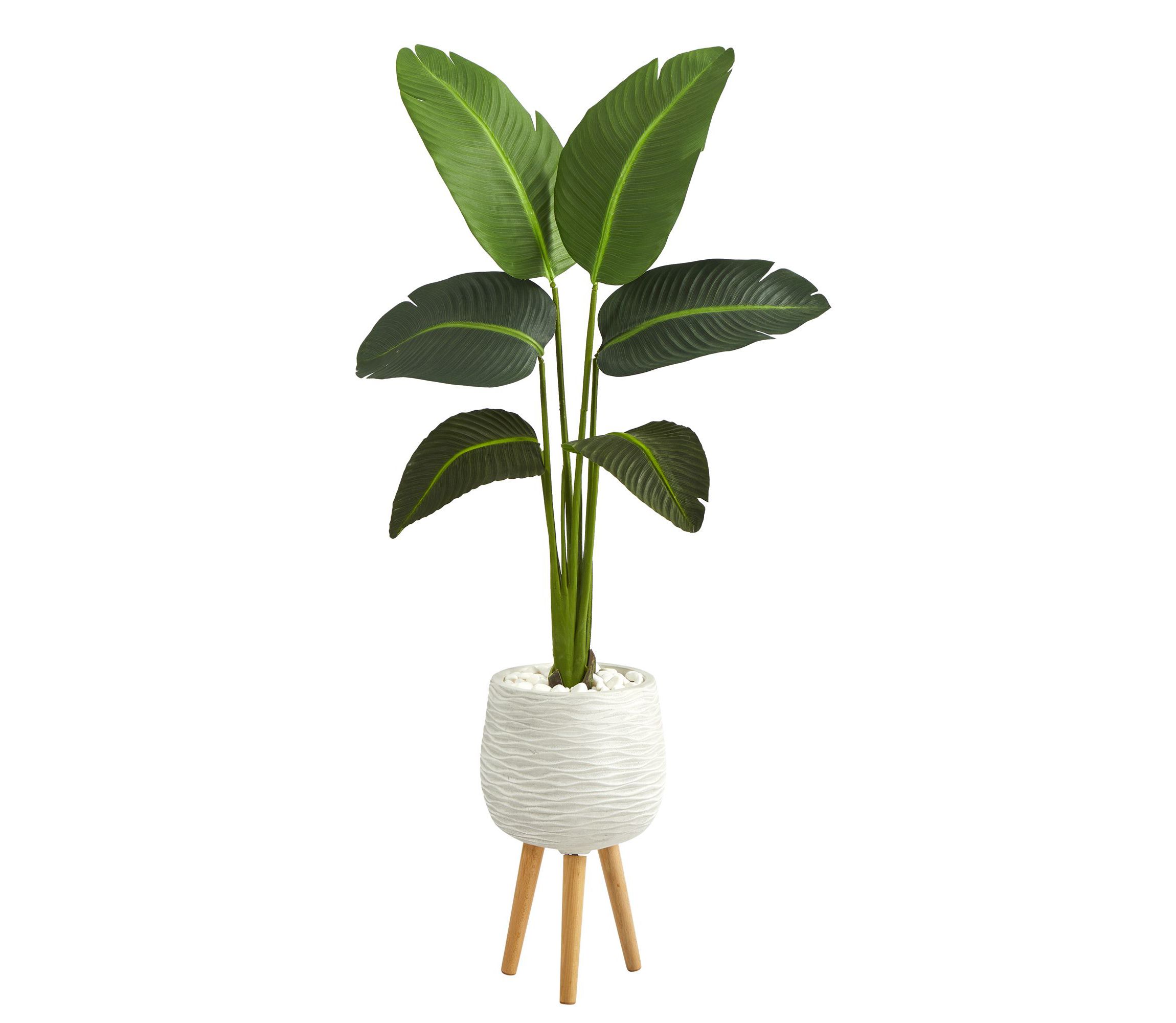 5-Foot Travelers Palm Artificial Plant in White Planter with Stand (Real Touch)