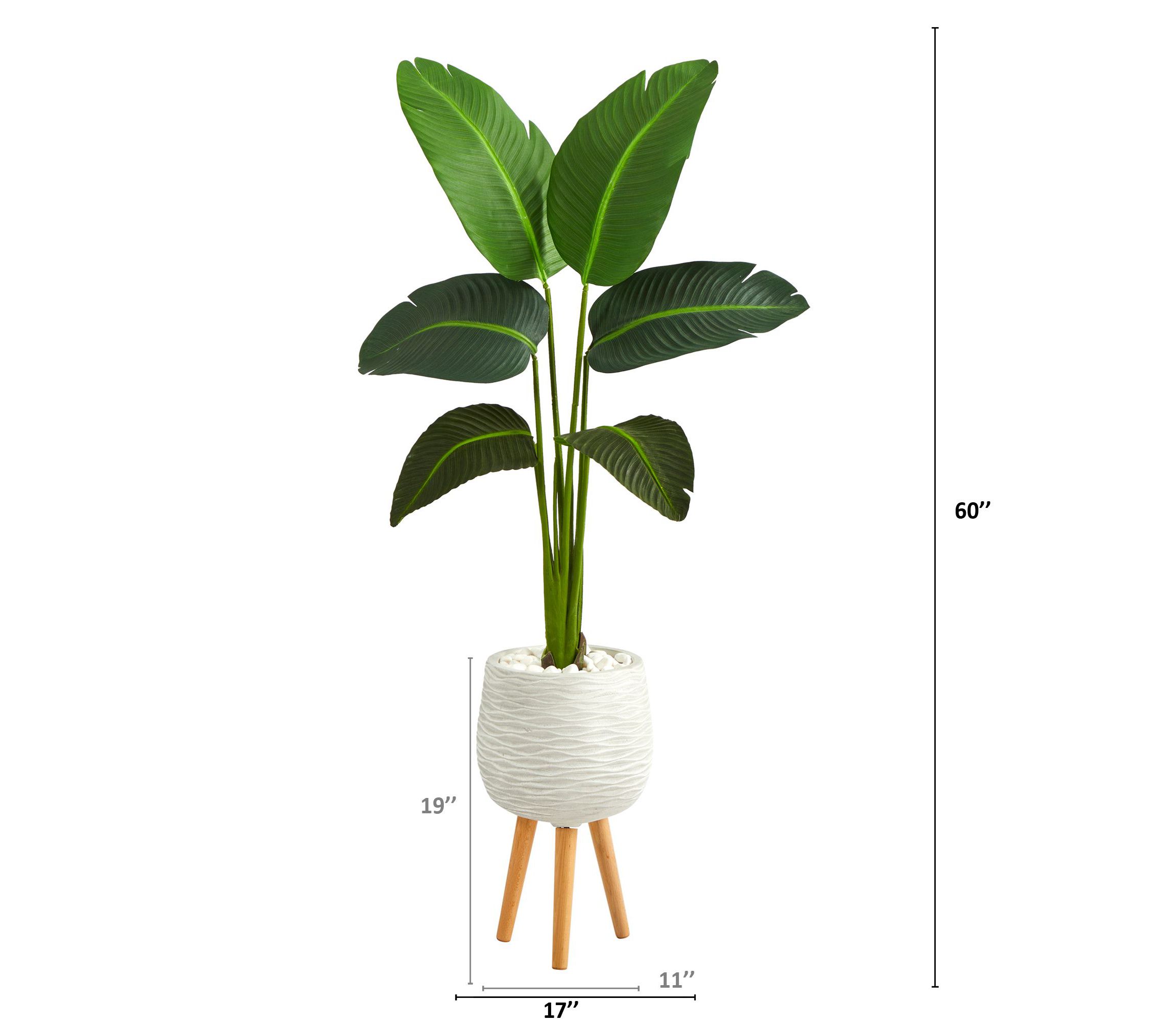 5-Foot Travelers Palm Artificial Plant in White Planter with Stand (Real Touch)