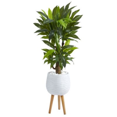 46-Inch Corn Stalk Dracaena Artificial Plant in White Planter with Stand (Real Touch)