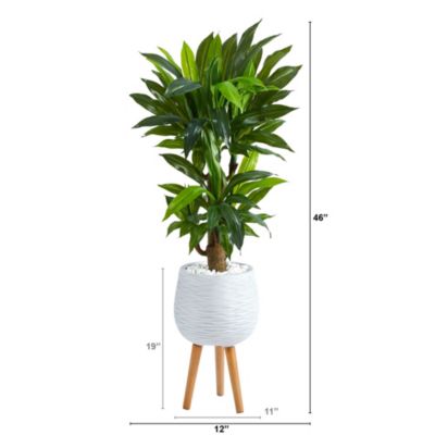 46-Inch Corn Stalk Dracaena Artificial Plant in White Planter with Stand (Real Touch)