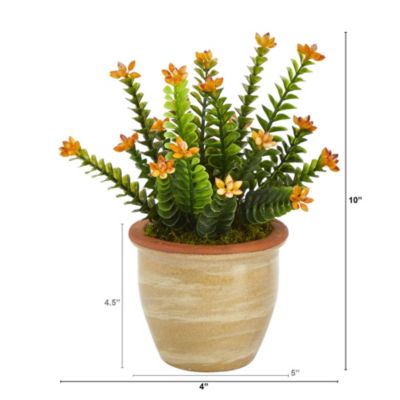 10-Inch Flowering Sedum Succulent Artificial Plant in Ceramic Planter