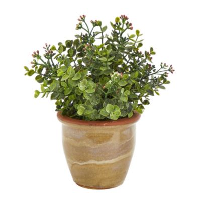 10-Inch Eucalyptus and Sedum Succulent Artificial Plant in Ceramic Planter