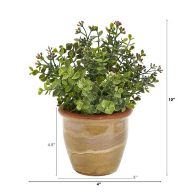 10-Inch Eucalyptus and Sedum Succulent Artificial Plant in Ceramic Planter