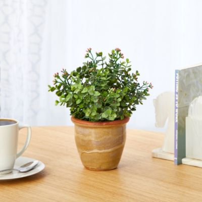 10-Inch Eucalyptus and Sedum Succulent Artificial Plant in Ceramic Planter