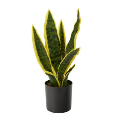 Nearly Natural 14-Inch Sansevieria Artificial Plant, Green