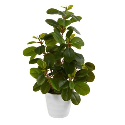 Nearly Natural 16-Inch Peperomia Artificial Plant in Decorative Planter, Green