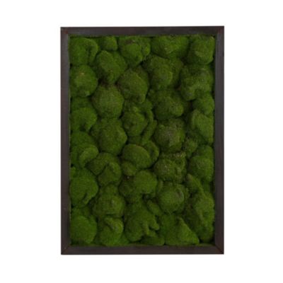 17-Inch X 24-Inch Artificial Moss Hanging Frame