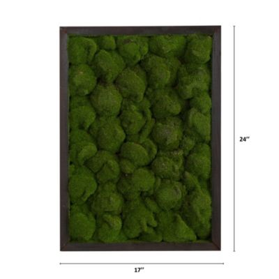 17-Inch X 24-Inch Artificial Moss Hanging Frame