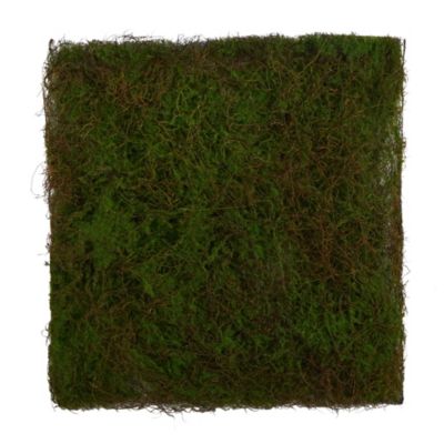 20-Inch X 20-Inch Artificial Moss Mat