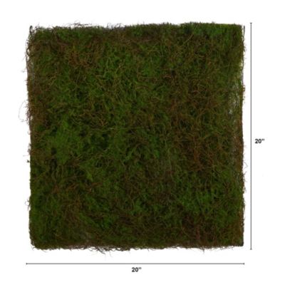 20-Inch X 20-Inch Artificial Moss Mat