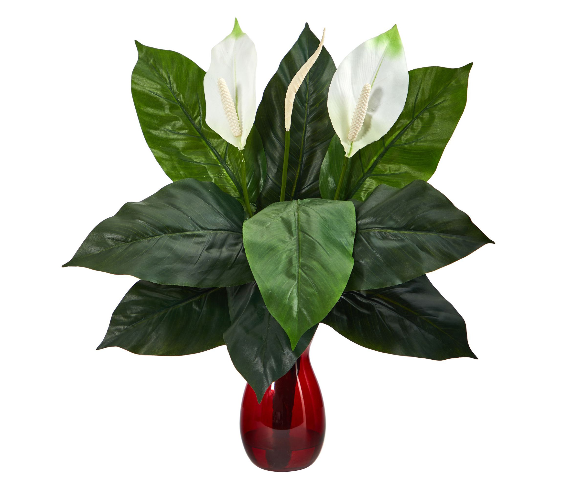 24-Inch Spathiphyllum Artificial Plant in Ruby Planter