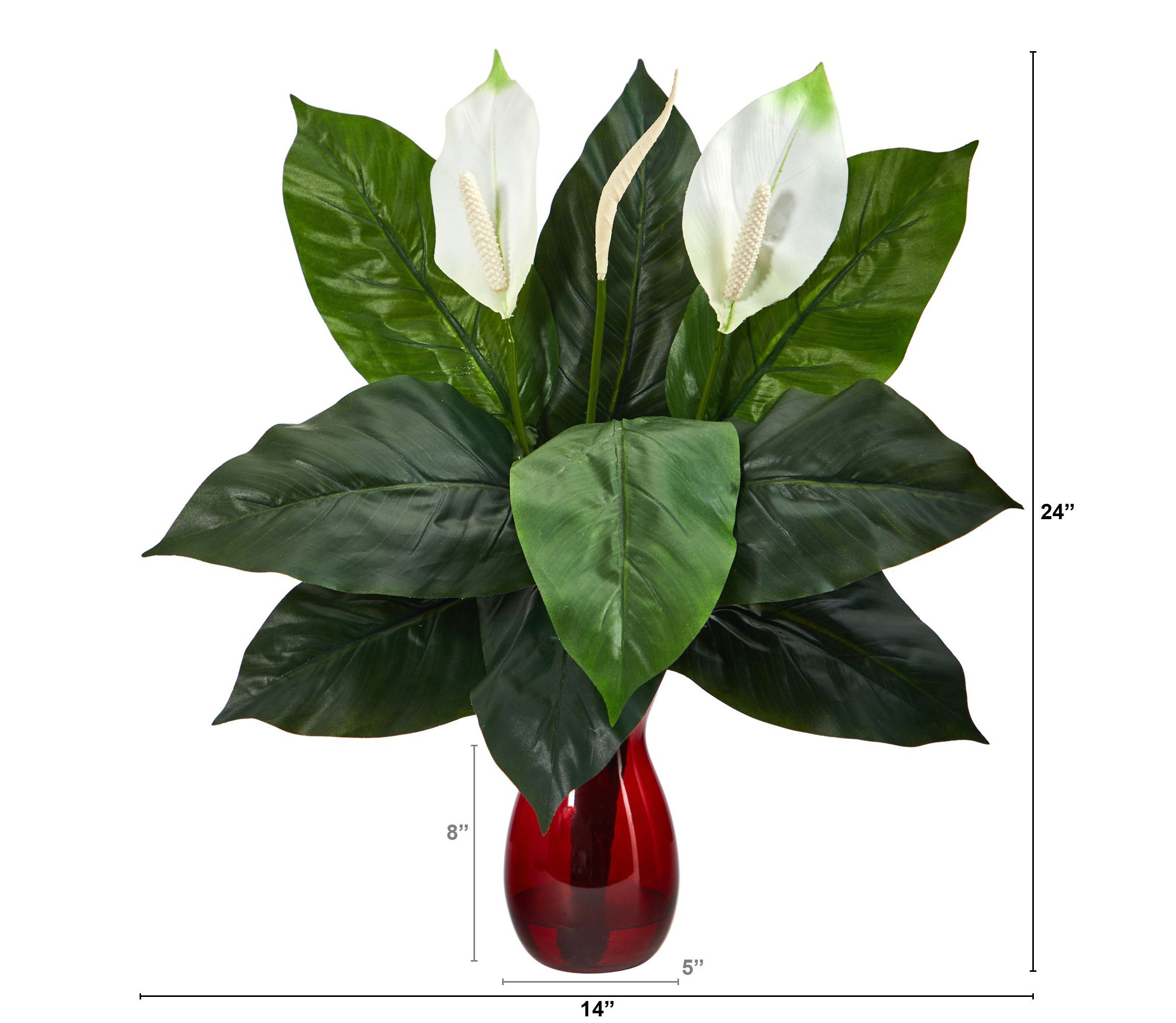 24-Inch Spathiphyllum Artificial Plant in Ruby Planter