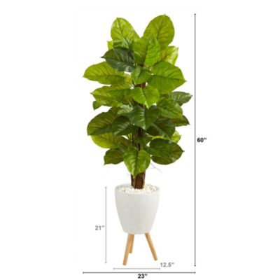 60-Inch Large Leaf Philodendron Artificial Plant in White Planter with Stand (Real Touch)