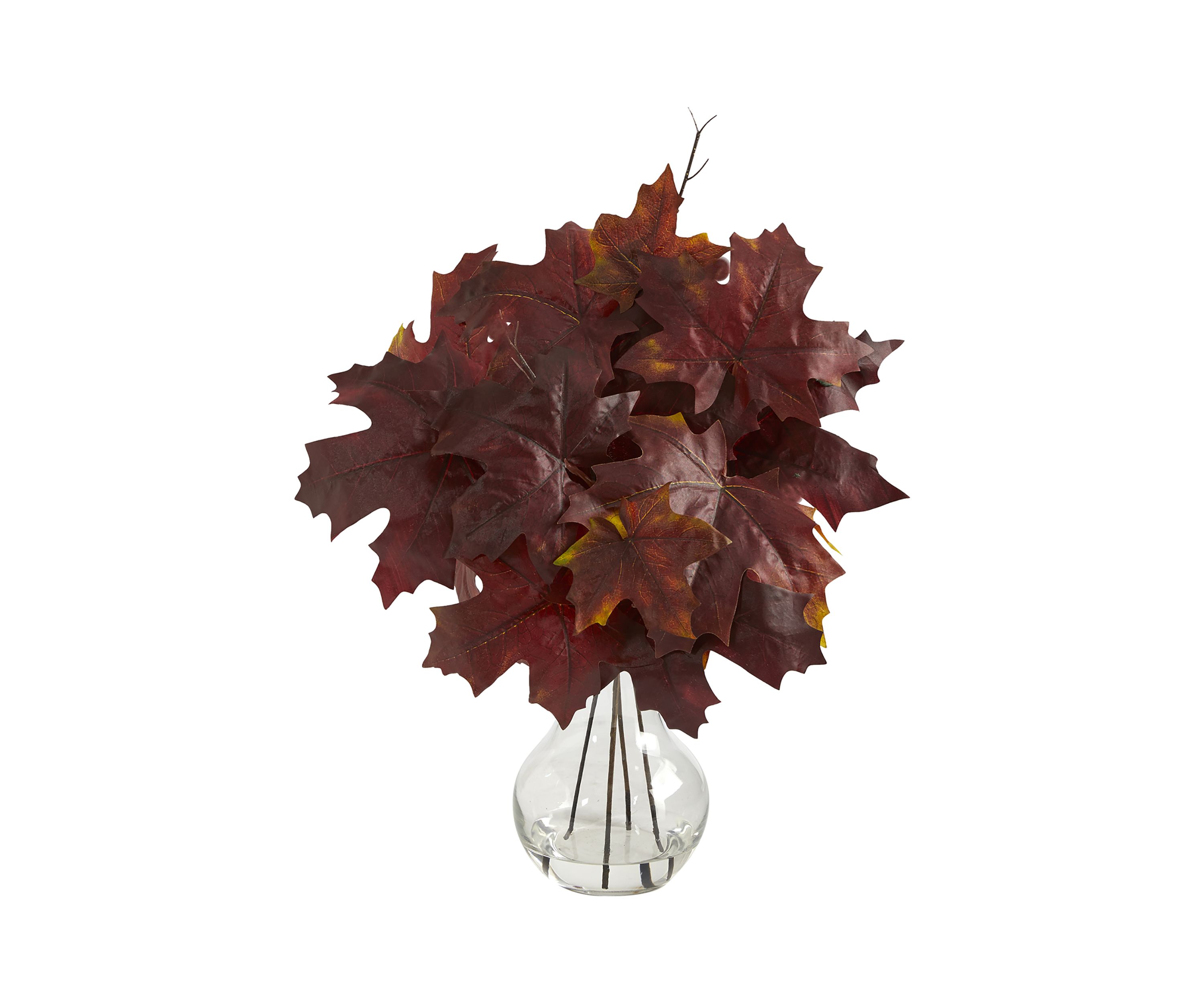 Autumn MplLf Plntr