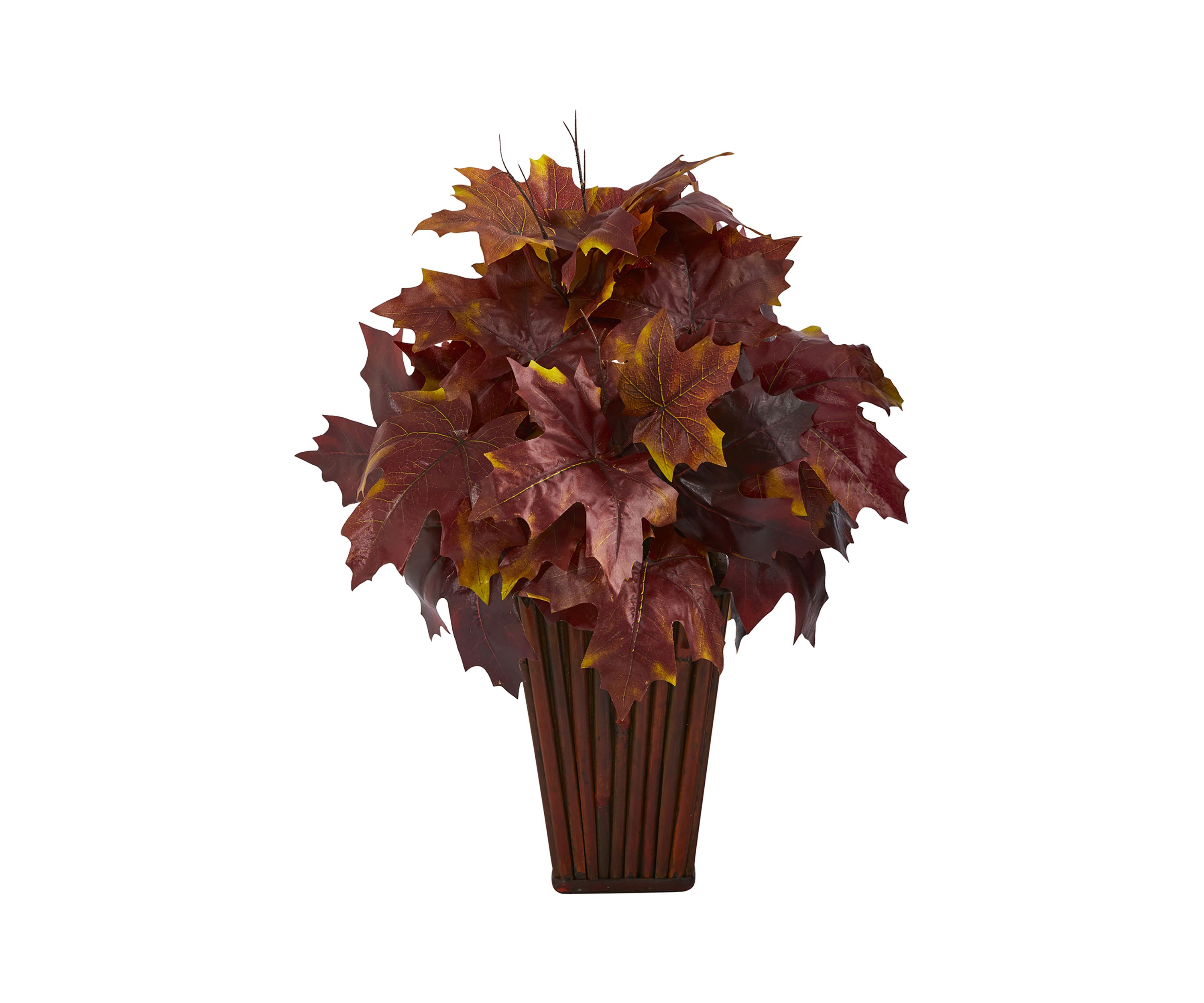 Autumn MplLf Plntr