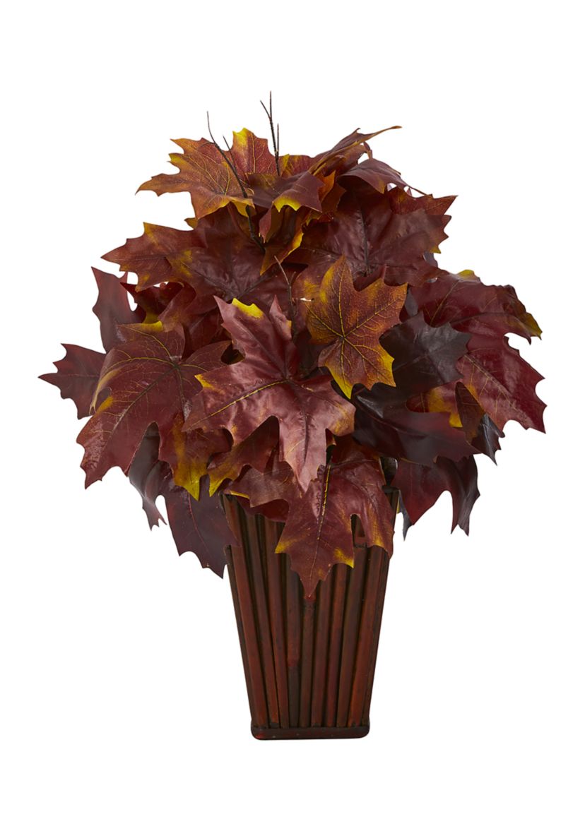 Autumn MplLf Plntr