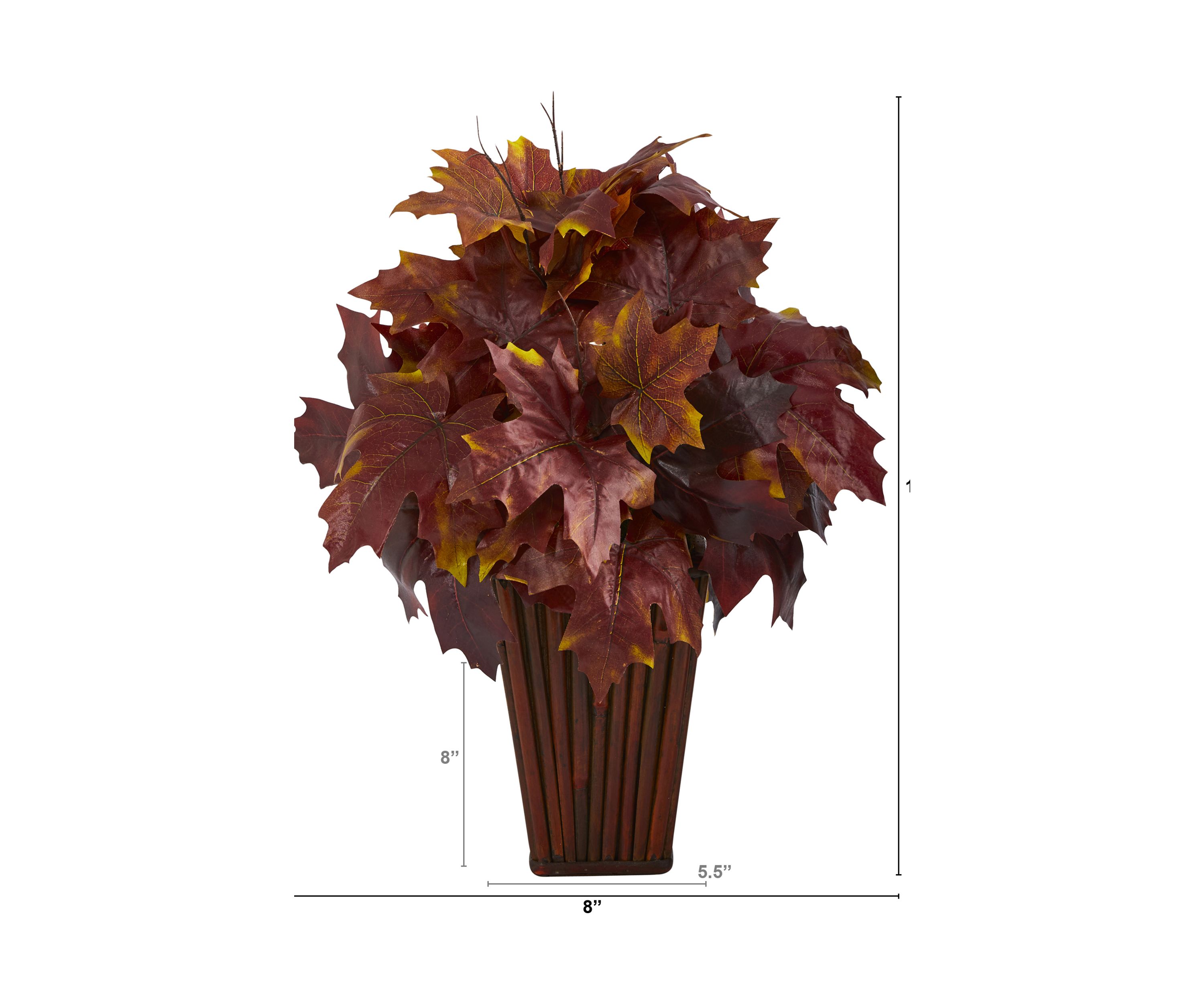 Autumn MplLf Plntr