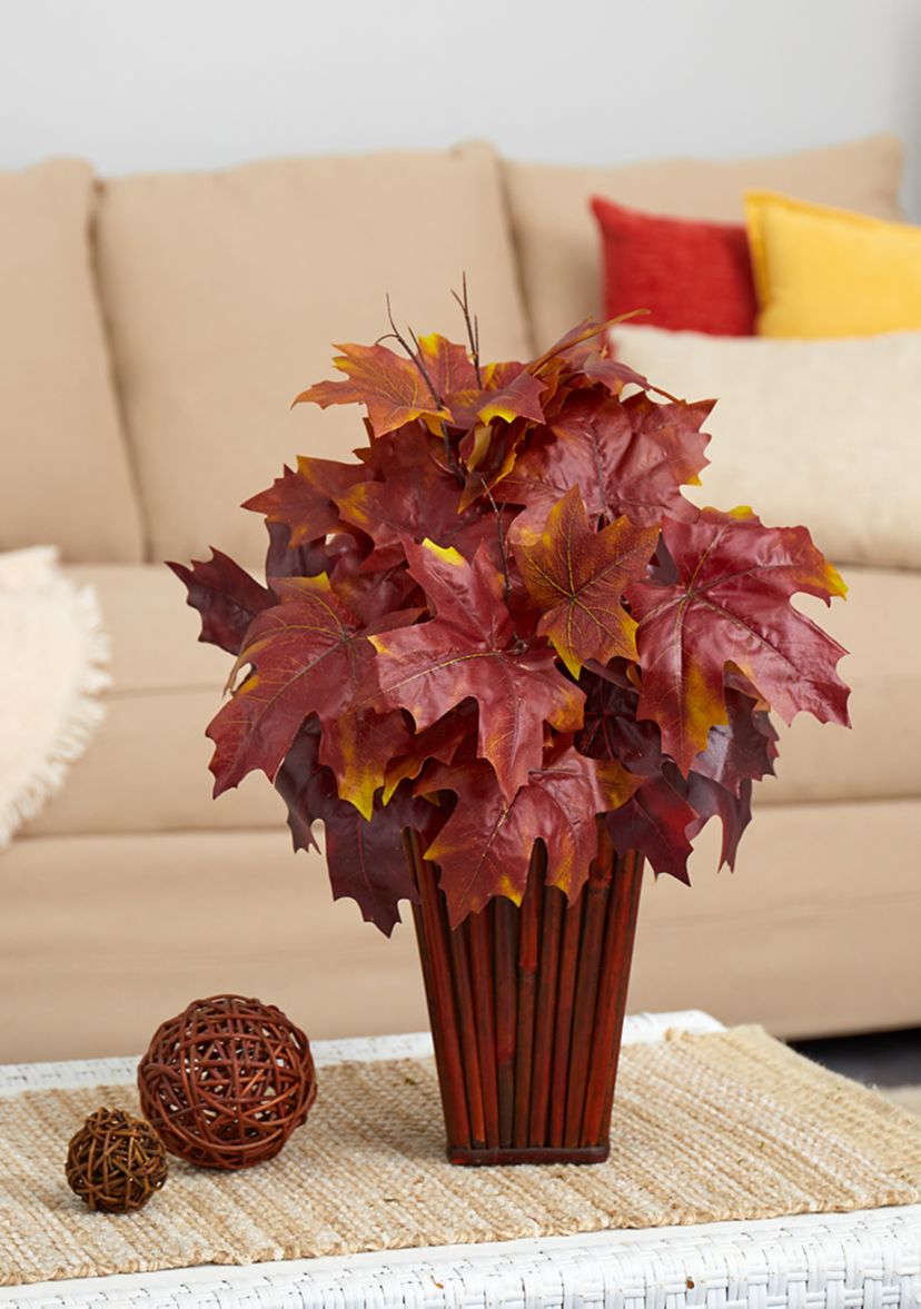 Autumn MplLf Plntr