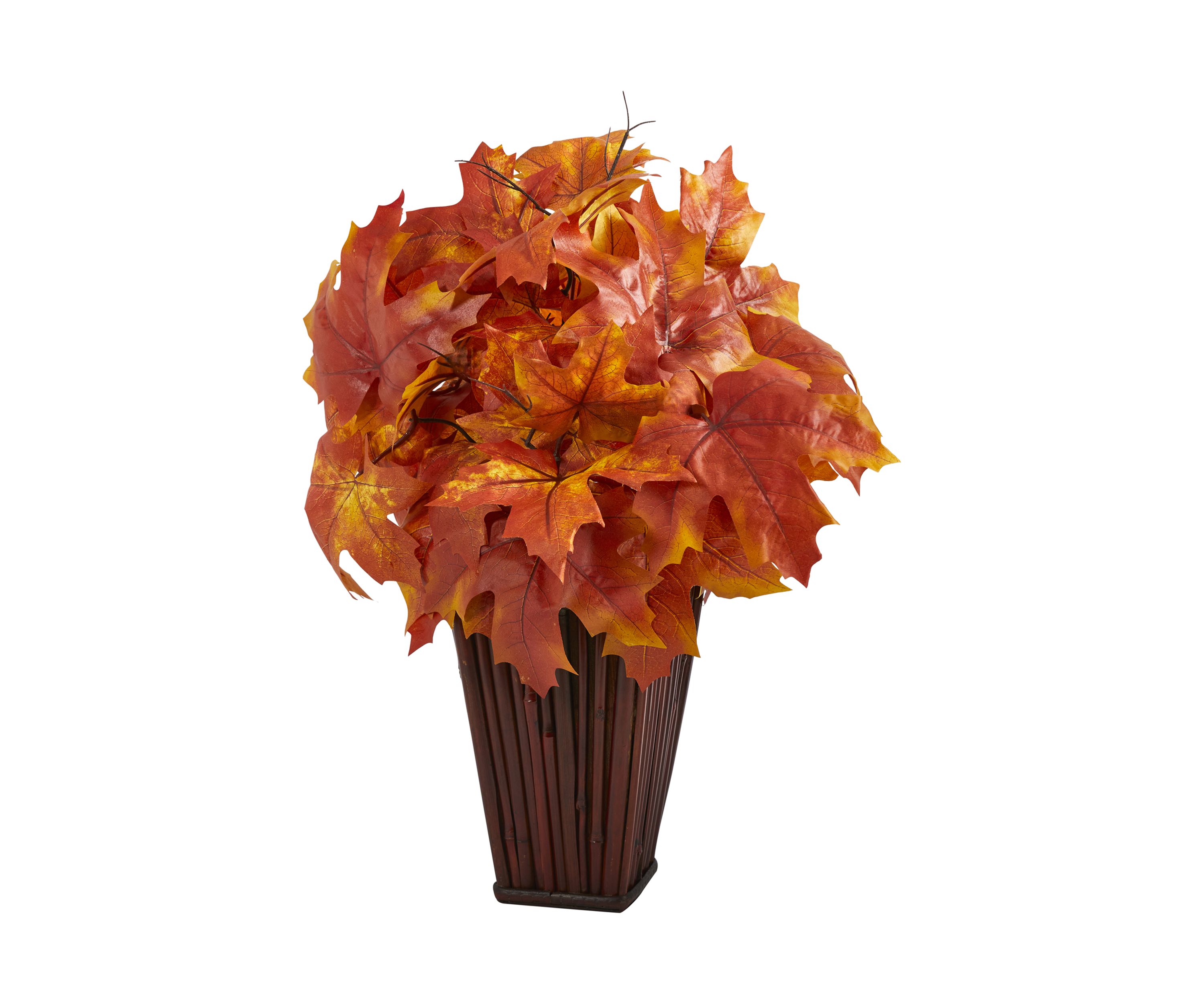 Autumn MplLf Plntr
