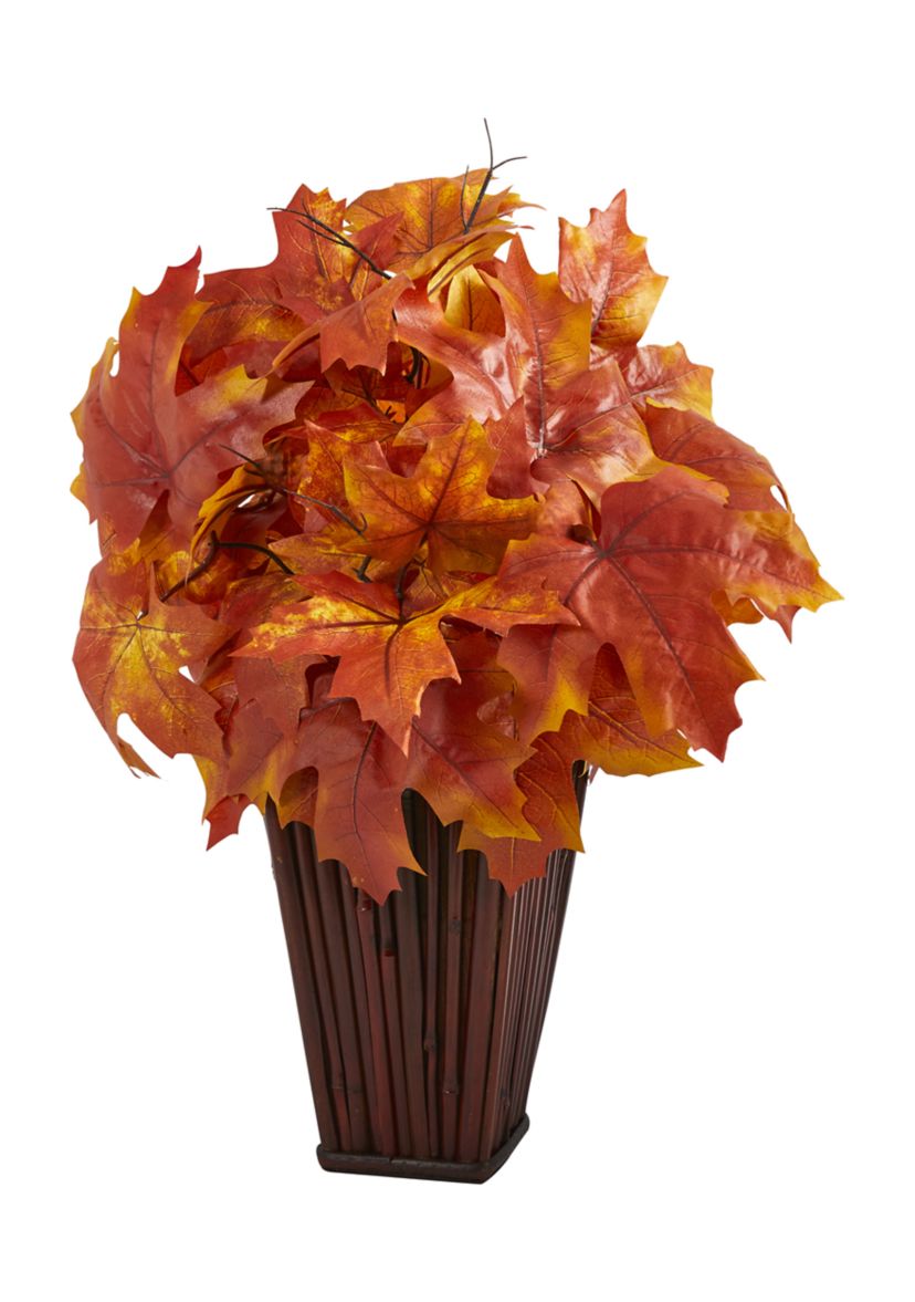 Autumn MplLf Plntr
