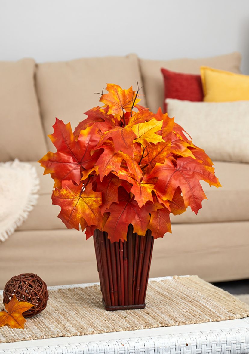 Autumn MplLf Plntr