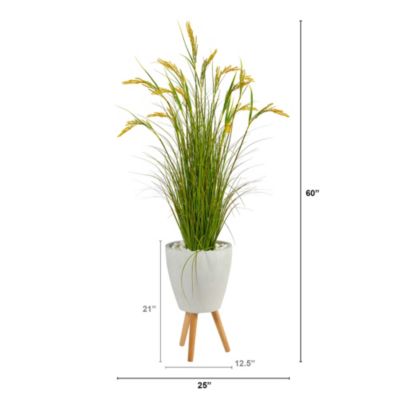 5-Inch Wheat Grain Artificial Plant in White Planter with Legs