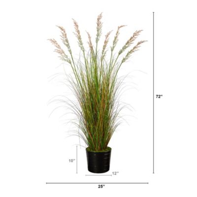 6-Foot Grass Artificial Plant in Black Tin Planter