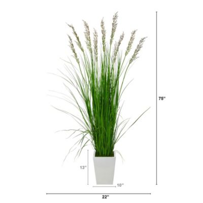 75-Inch Grass Artificial Plant in White Metal Planter
