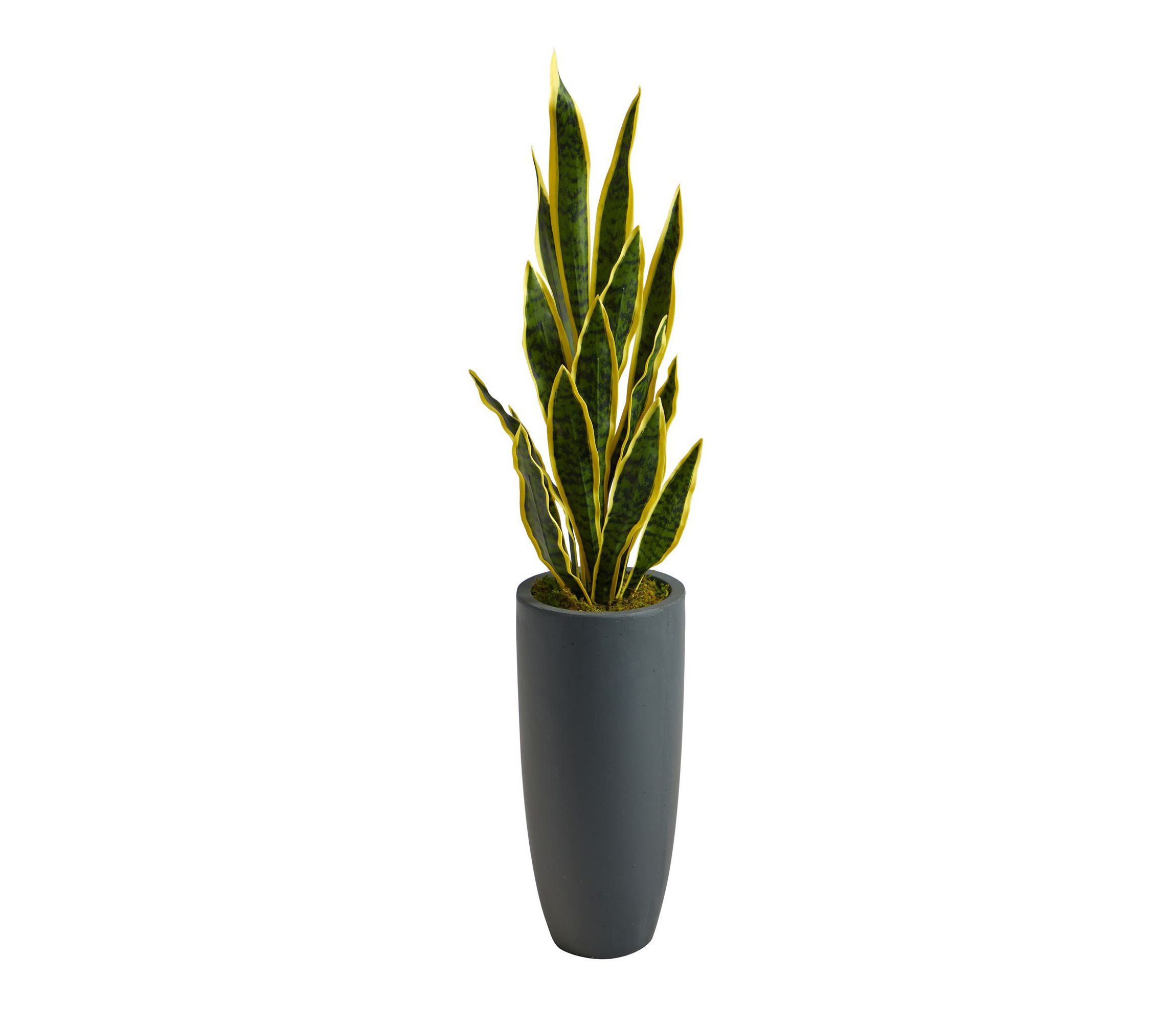 3.5-Foot Sansevieria Artificial Plant in Gray Planter