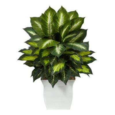 Nearly Natural 2-Foot Golden Dieffenbachia Artificial Plant in White Metal Planter, Green