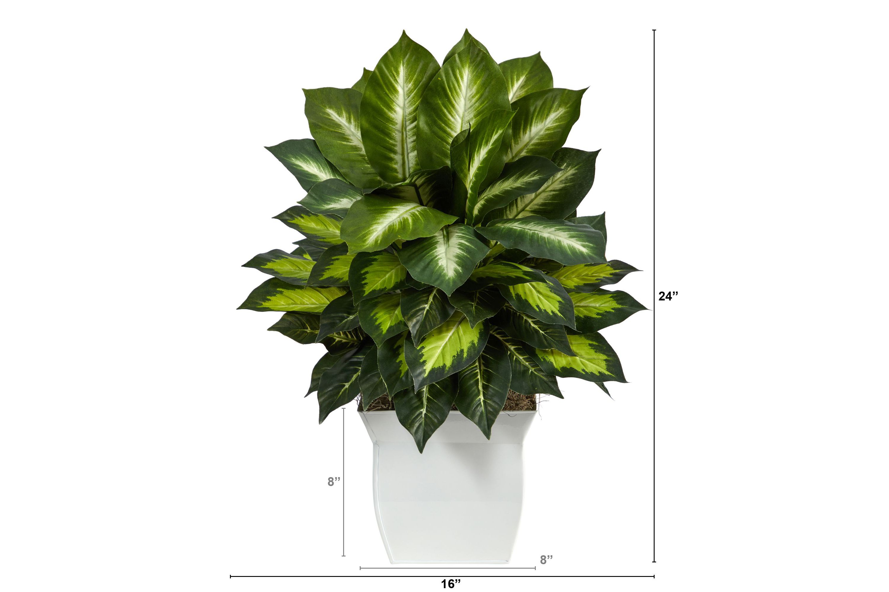 2-Foot Golden Dieffenbachia Artificial Plant in White Metal Planter