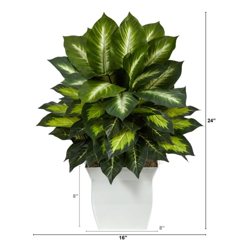 2-Foot Golden Dieffenbachia Artificial Plant in White Metal Planter